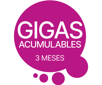 acumula gigas